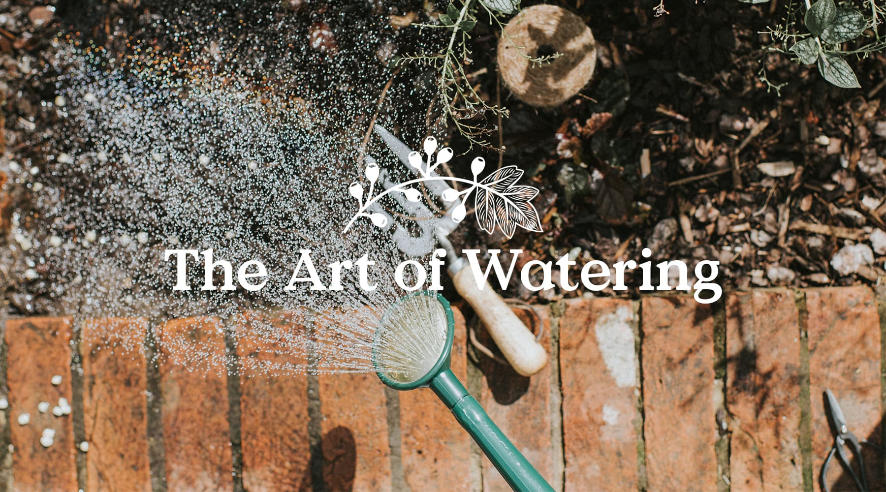 The art of watering