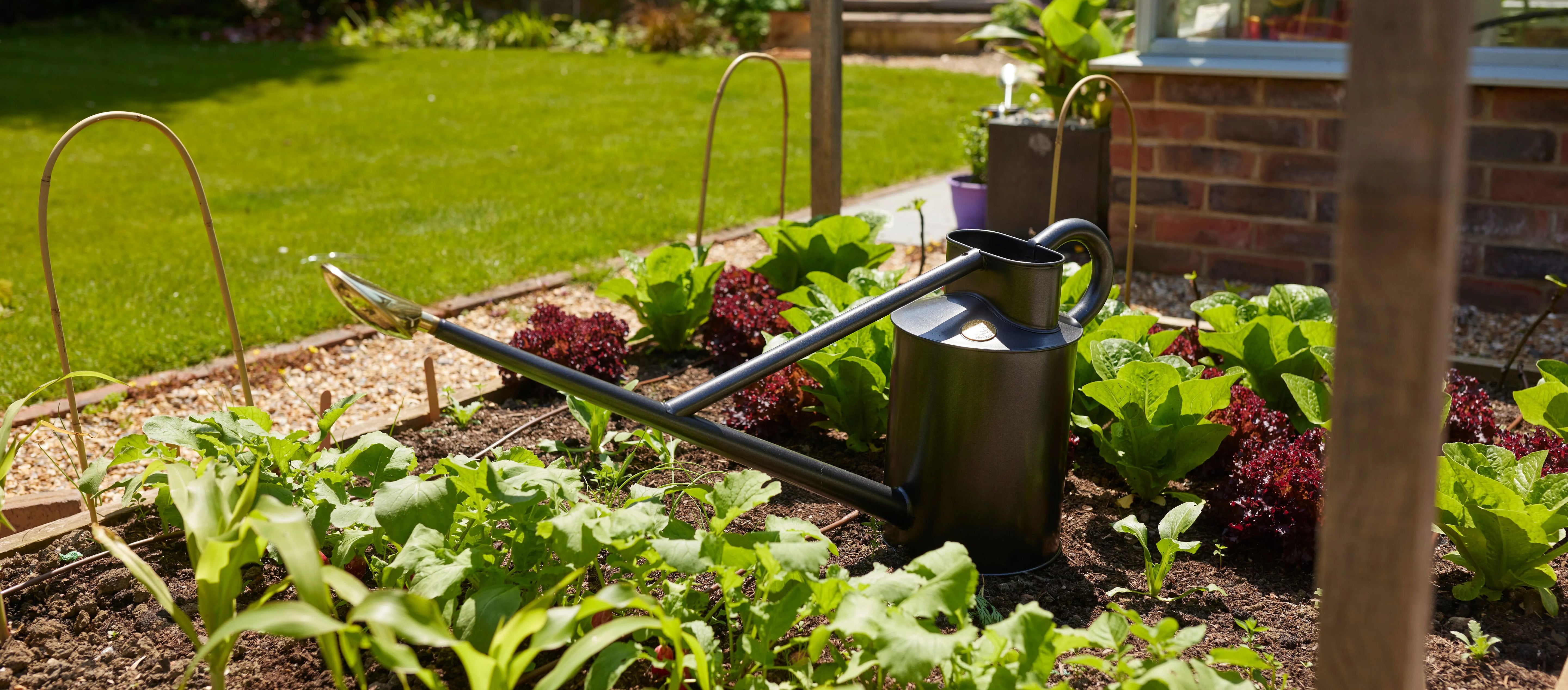 April: Five things that need watering now