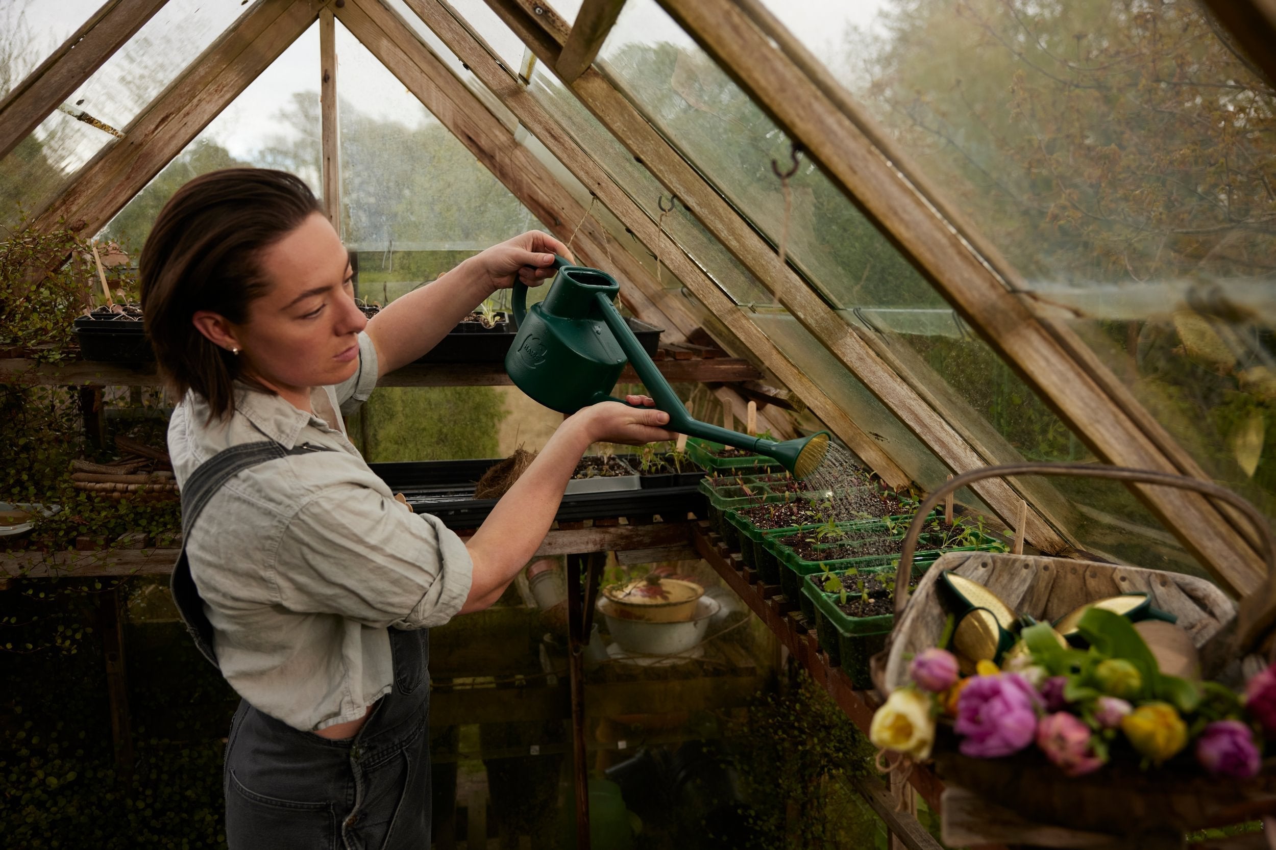Five greenhouse watering practices for healthier plants