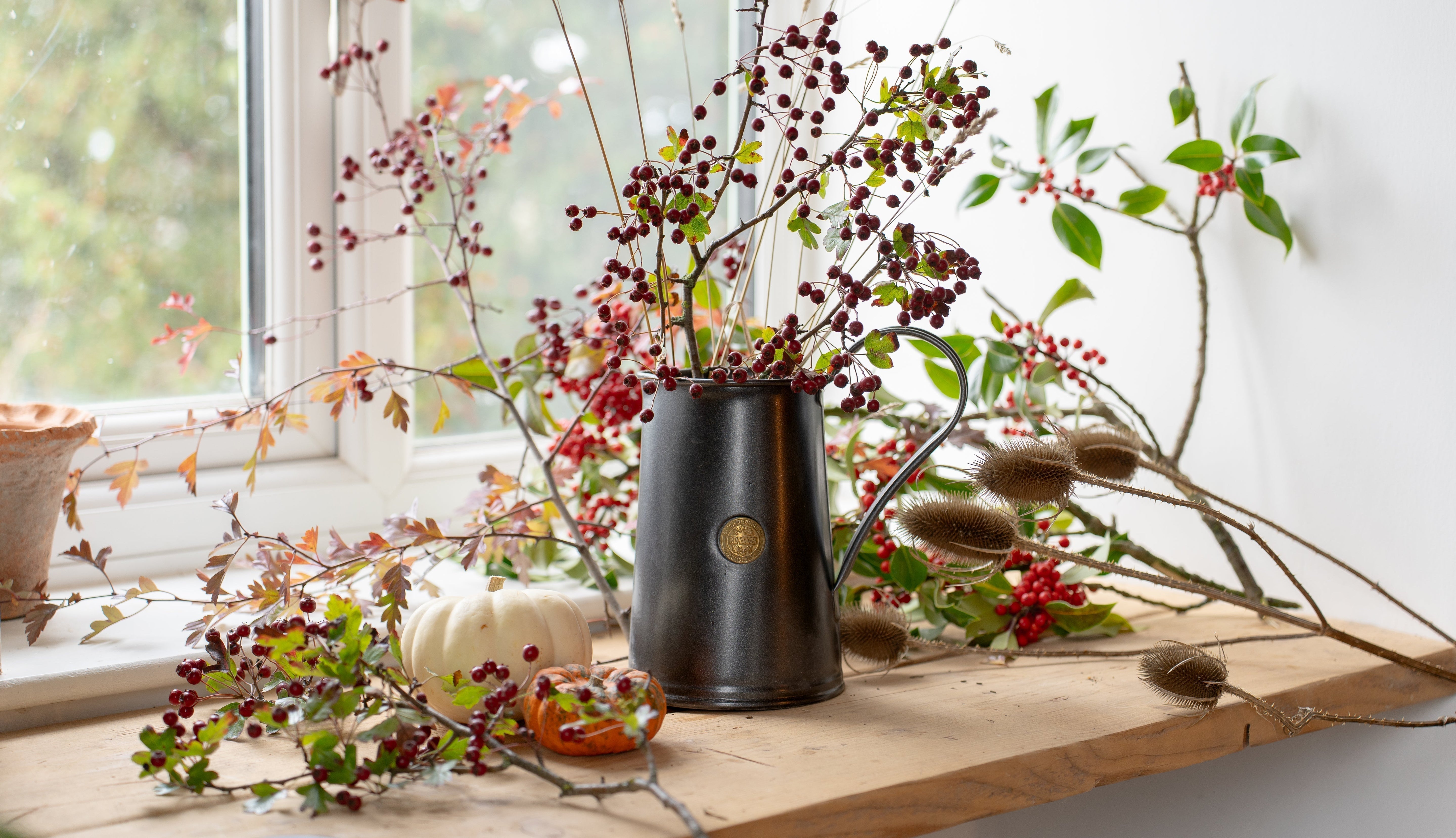 Hedgerow to home: forage a wild autumn arrangement
