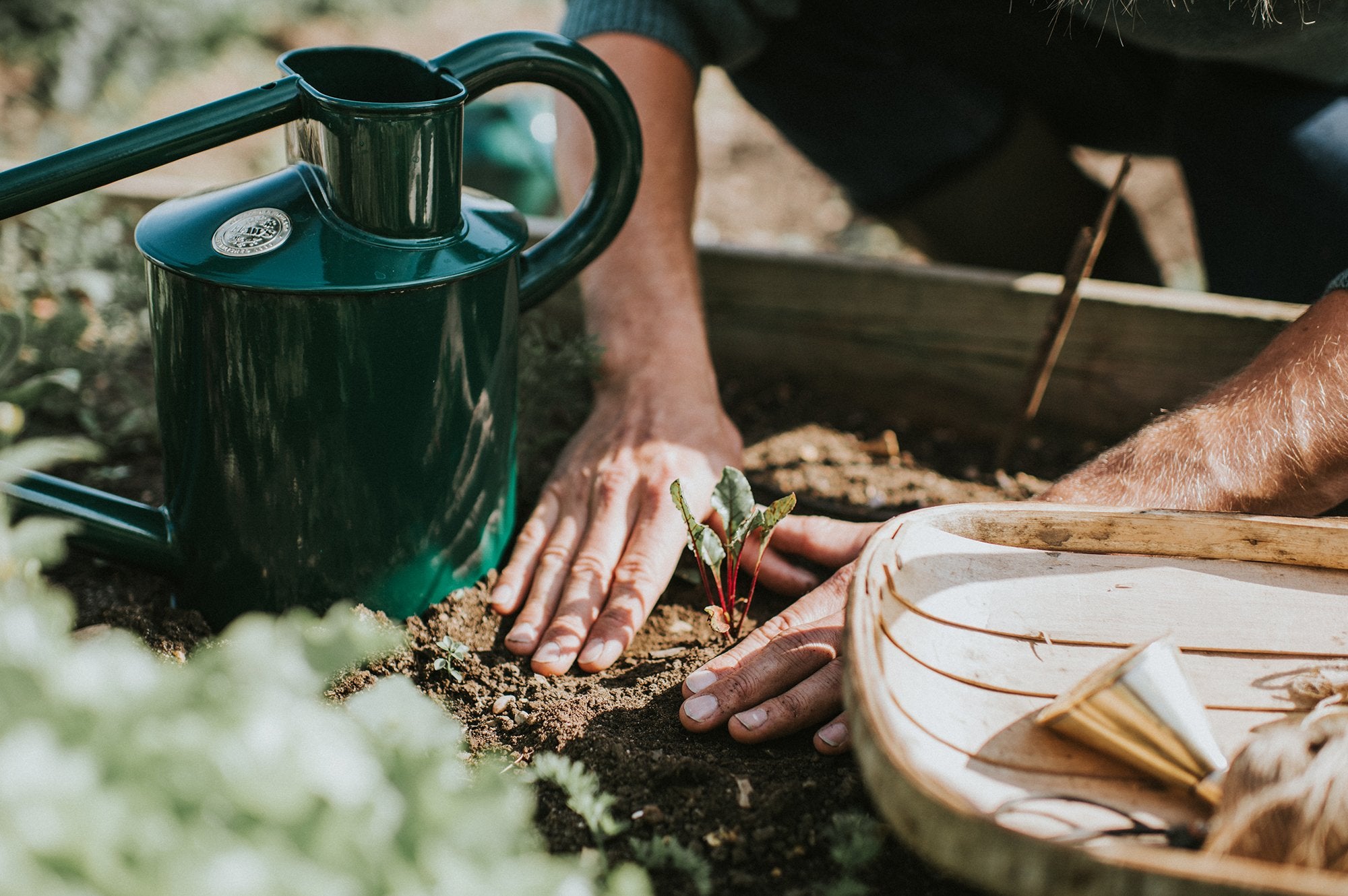 Grow Your Own - Part 3