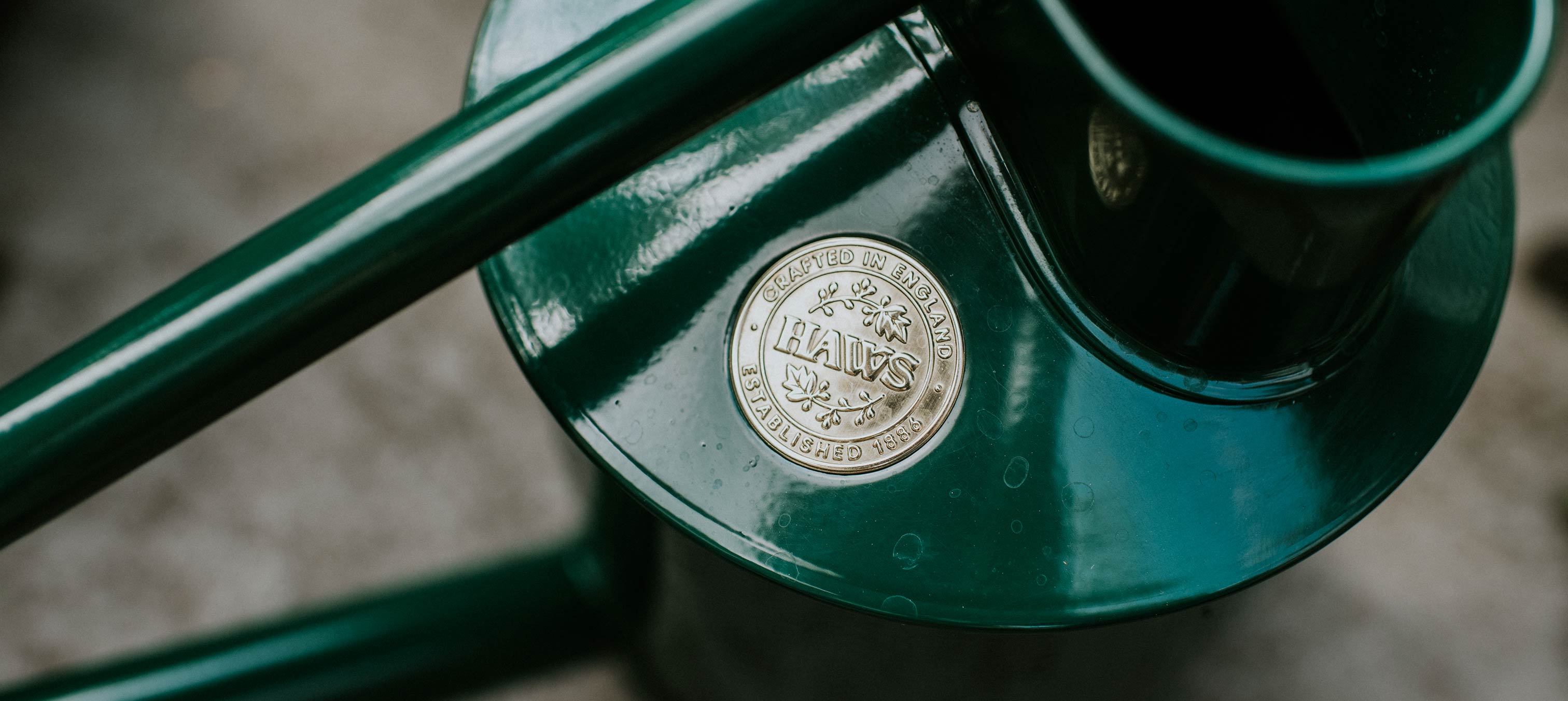 130 years of Haws