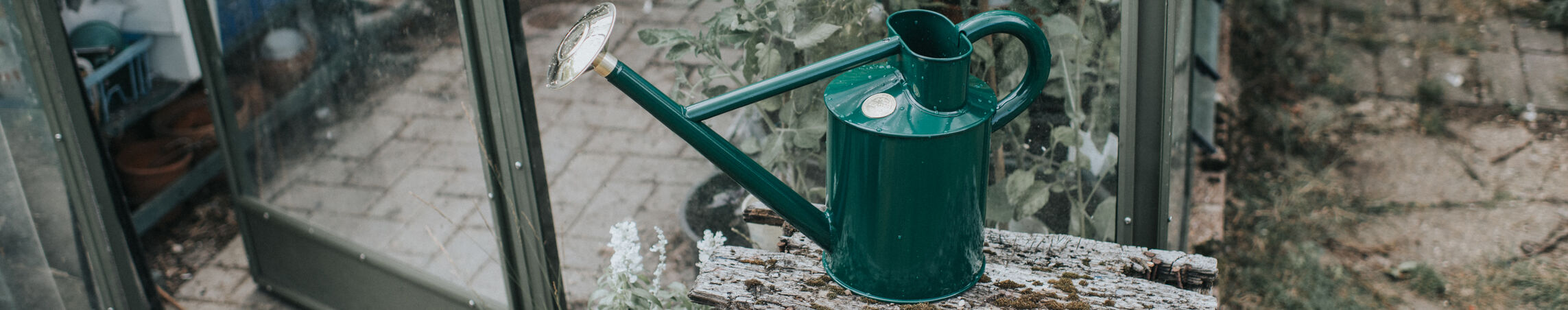The Patio Gardener
