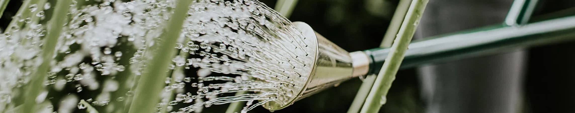 haws watering can
