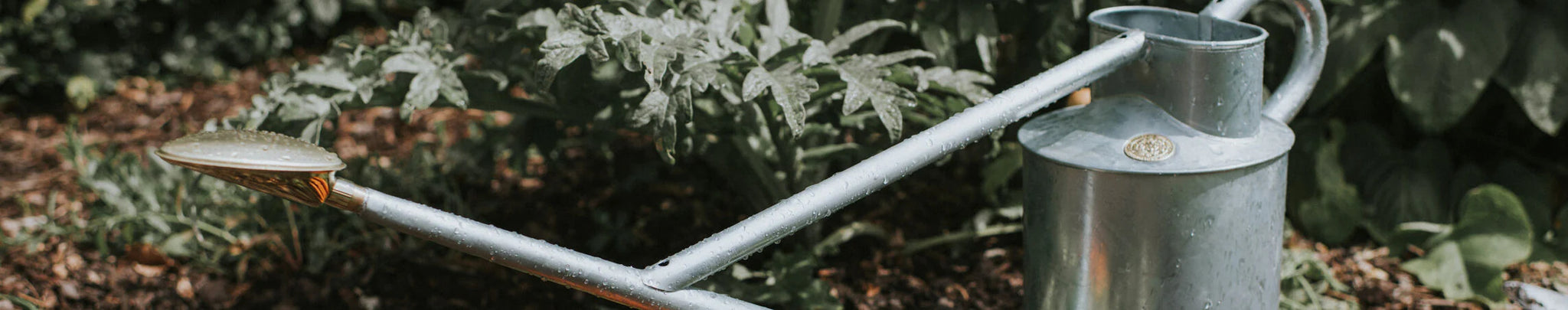 Outdoor Steel Watering Cans