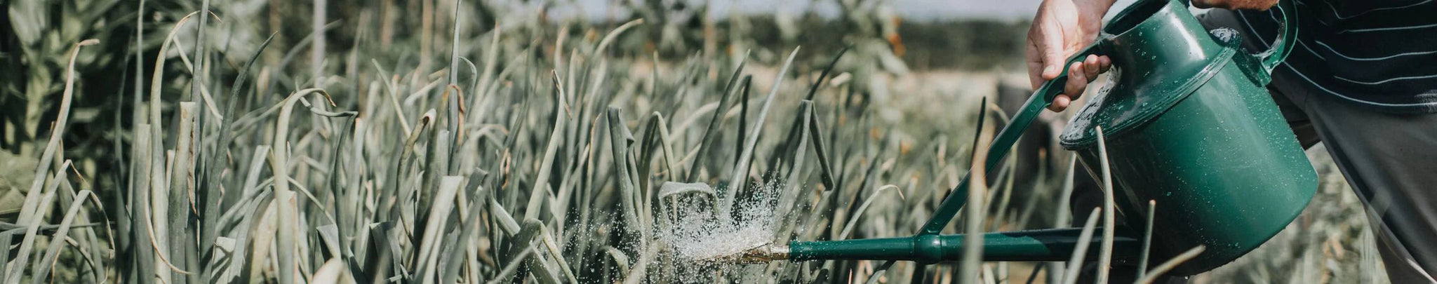 Outdoor Plastic Watering Cans