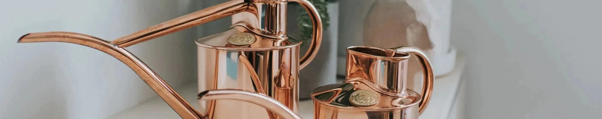 Indoor Copper Watering Cans