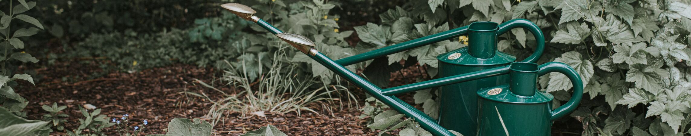 Watering Sets

