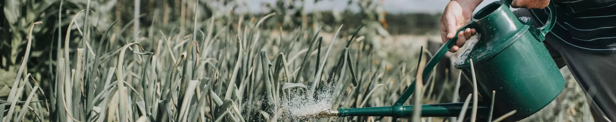 Watering Cans