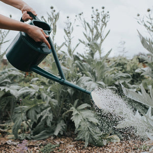 The Cradley Cascader - Growing Kit - One & a Half Gallon