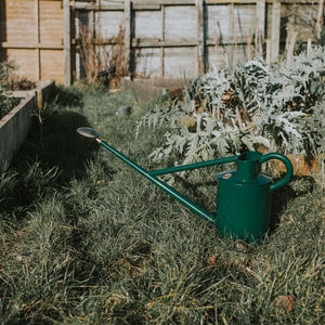 The Warley Fall - Green - Starter Kit - One Gallon
