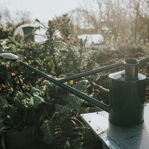 The Warley Fall - Green - Full Monty Kit - Two Gallon