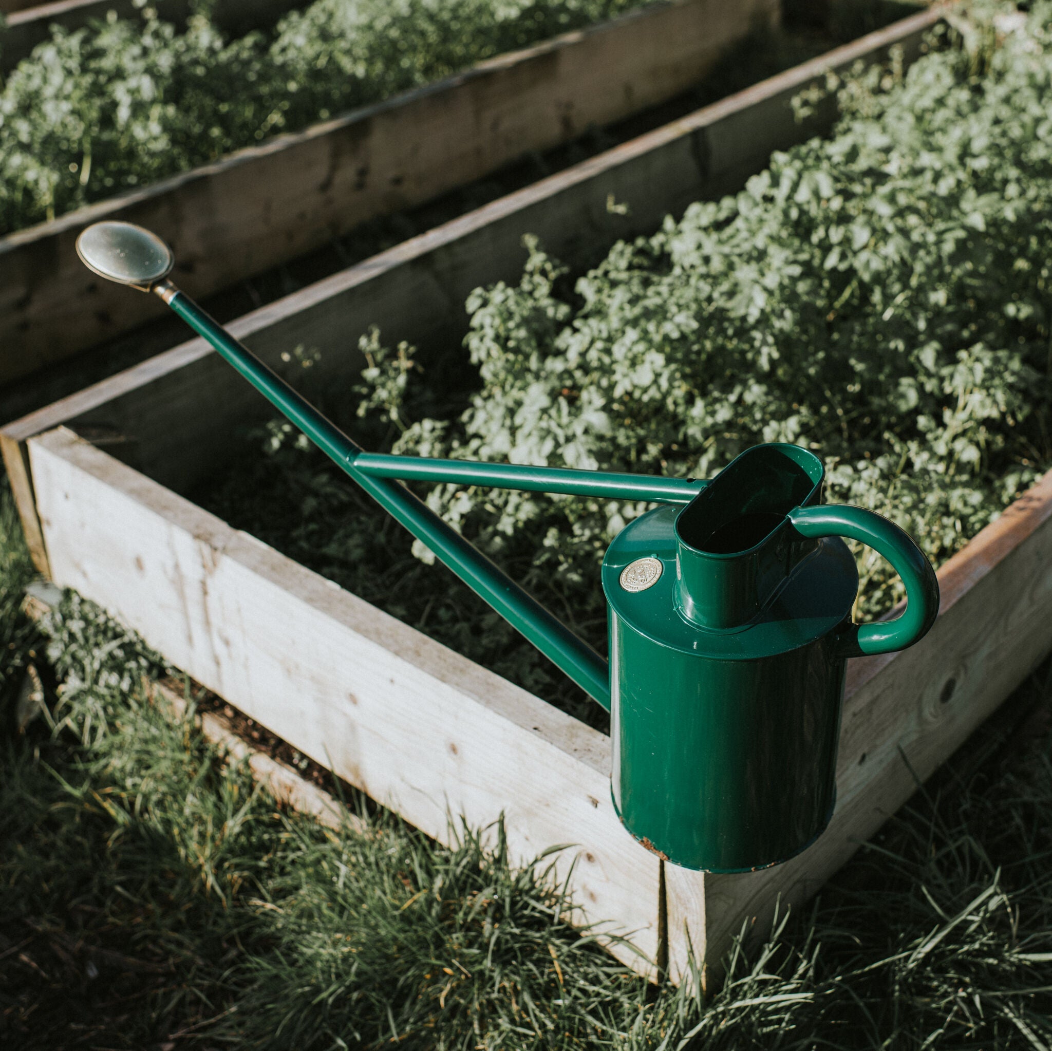 The Warley Fall - Two Gallon in Green