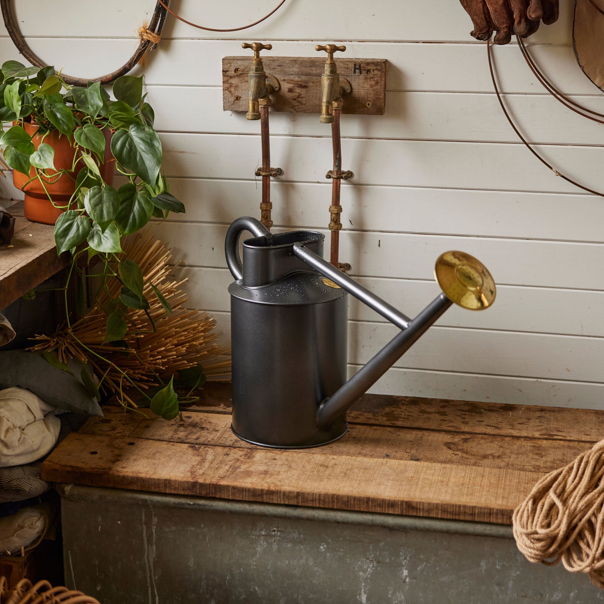 The Bearwood Brook Graphite - Two Gallon