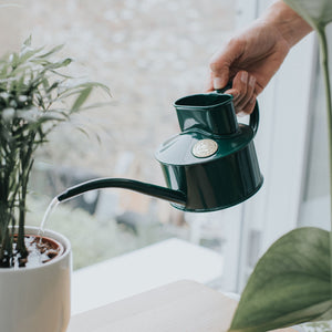 The Fazeley Flow - Houseplant Set - Green & Copper - One Pint