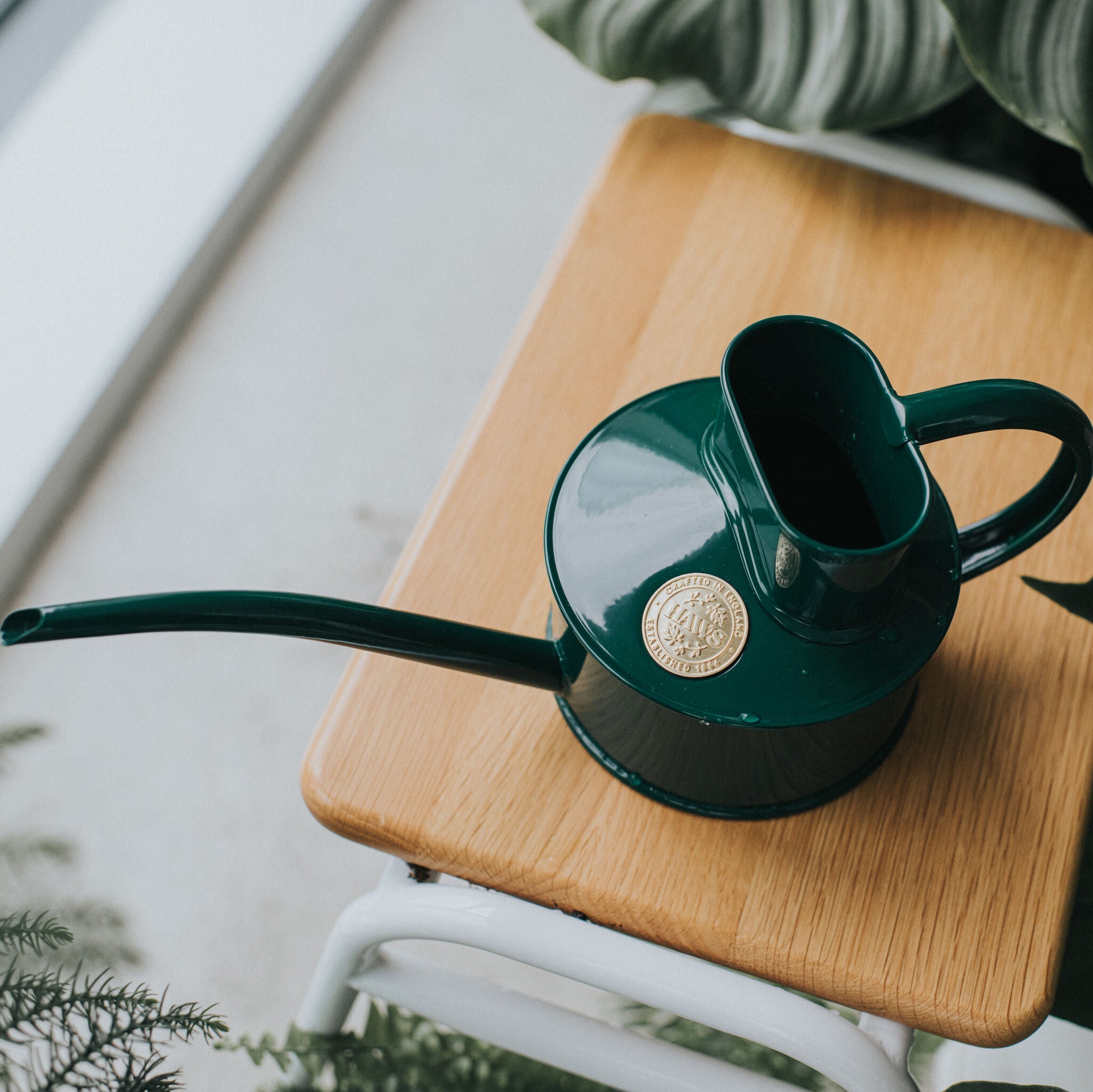 The Fazeley Flow - Houseplant Set - Green & Copper - One Pint