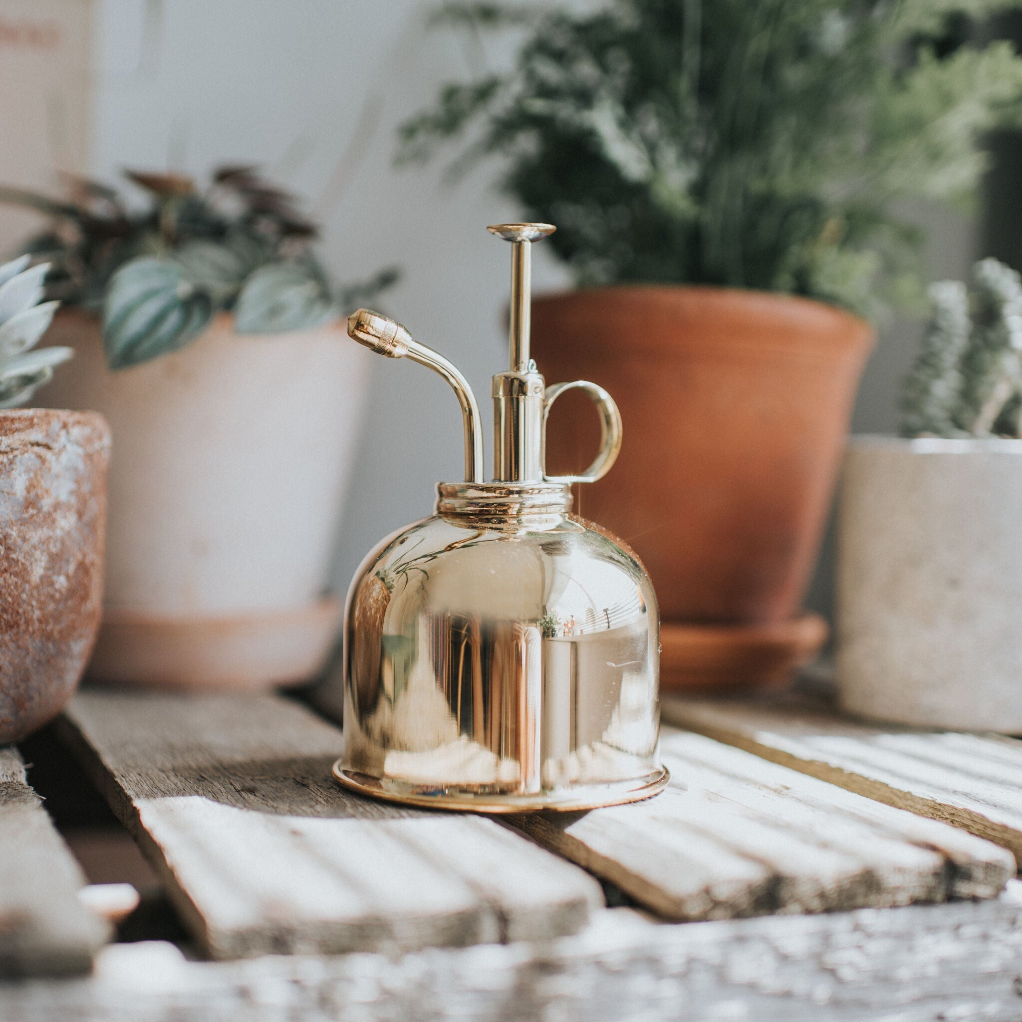The Fazeley Flow - Houseplant Set - Green & Brass - Two Pint