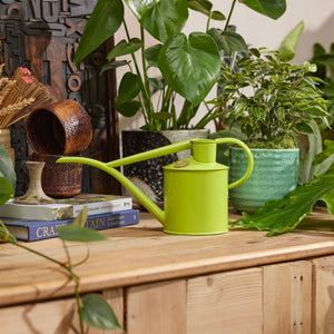 The Fazeley Flow - Houseplant Set - Apple Green & Copper - Two Pint