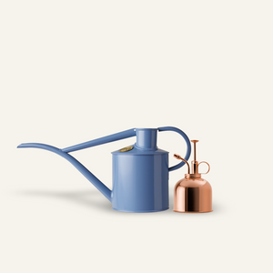The Fazeley Flow - Houseplant Set - Bluebell Meadow & Copper - Two Pint