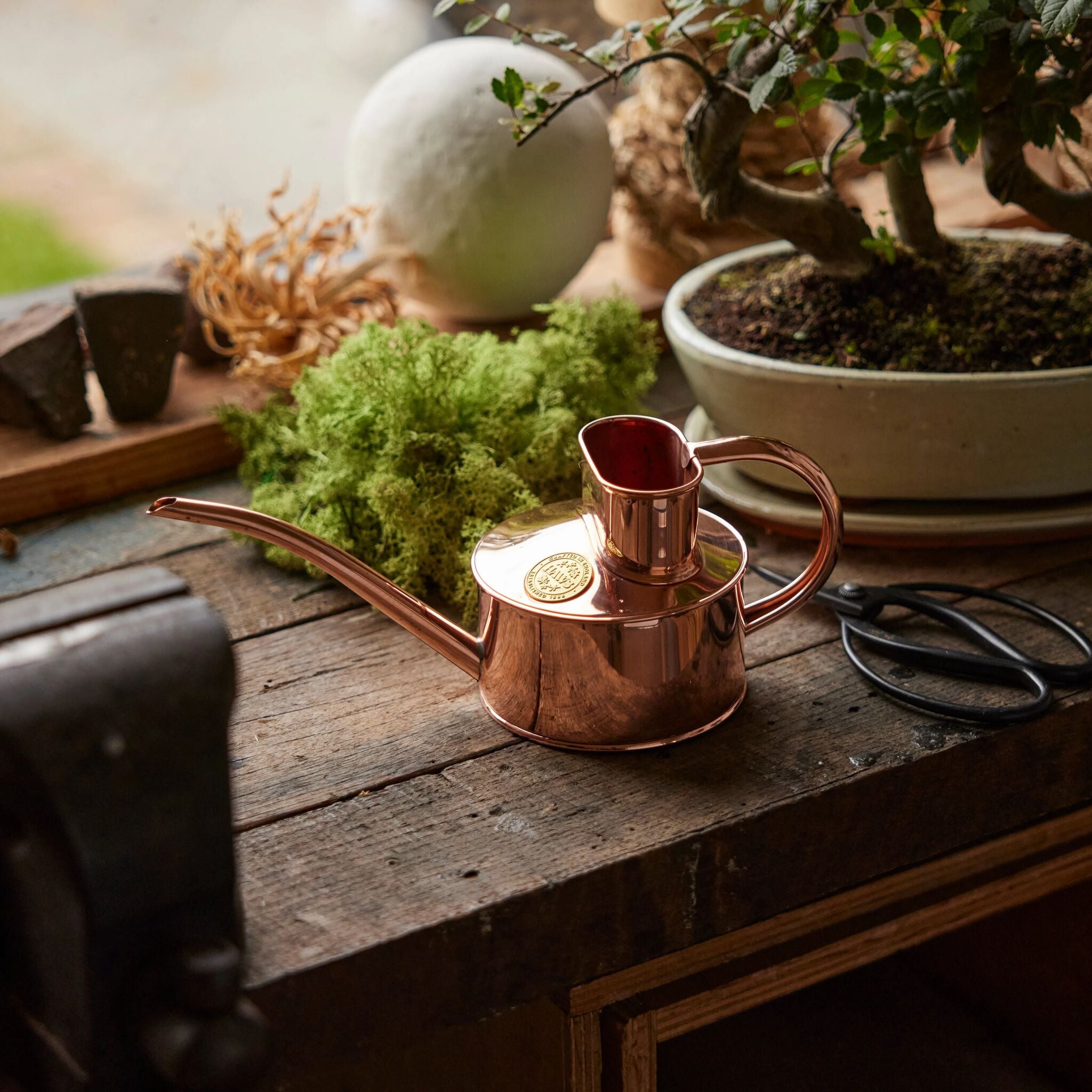 The Fazeley Flow - Houseplant Set - Copper & Brass - One Pint