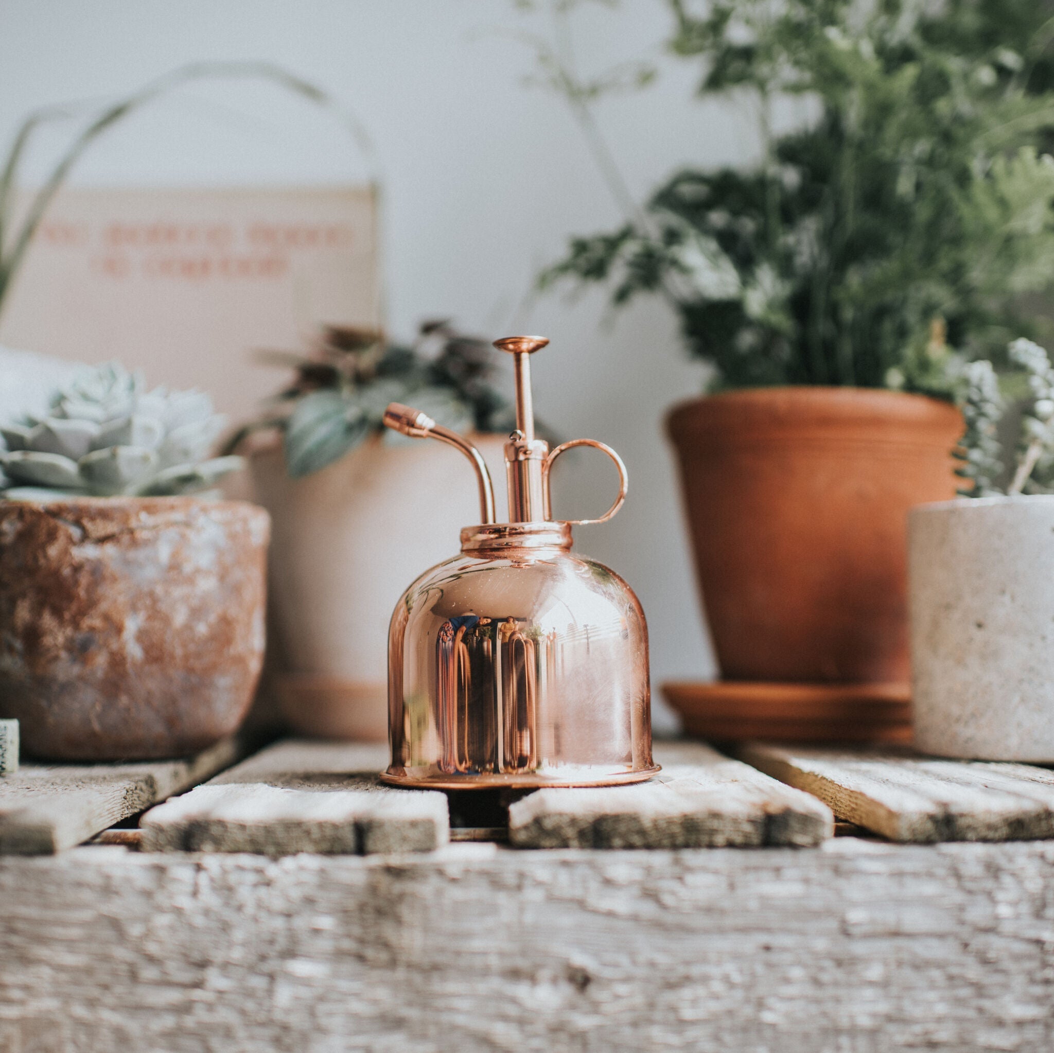 The Fazeley Flow - Houseplant Set - Copper & Brass - One Pint