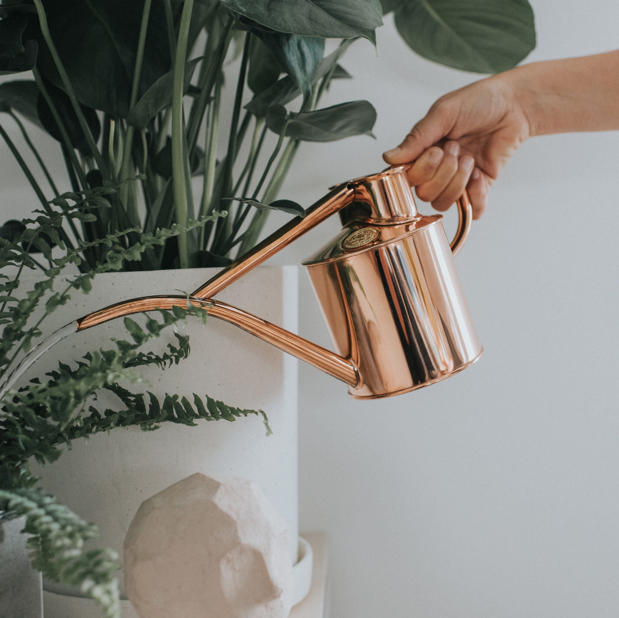 The Fazeley Flow - Houseplant Set - Copper - Two Pint