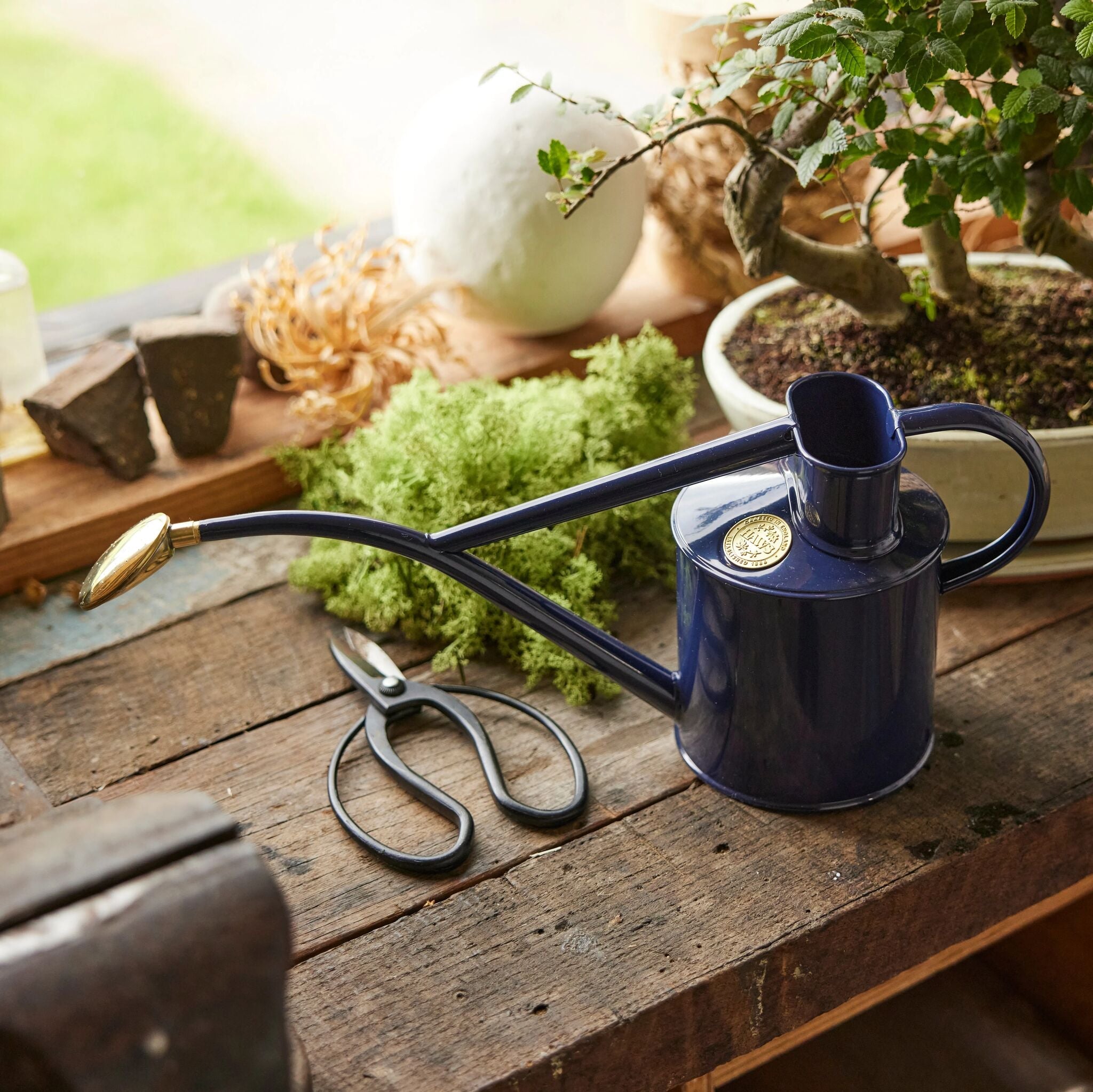 The Rowley Ripple - Houseplant Set - British Navy Blue & Brass - Two Pint