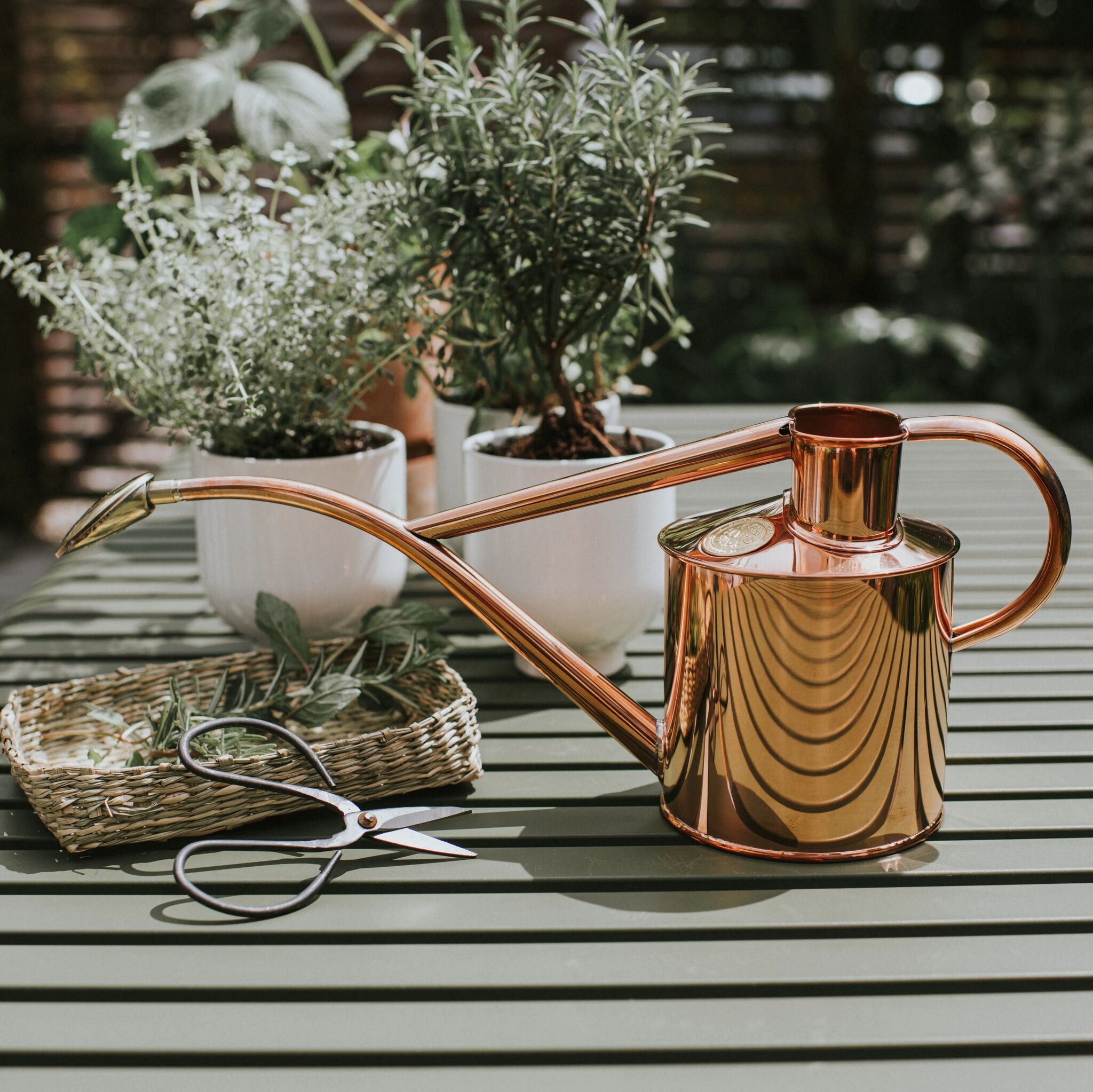 The Rowley Ripple - Houseplant Set - Copper & Brass - Two Pint
