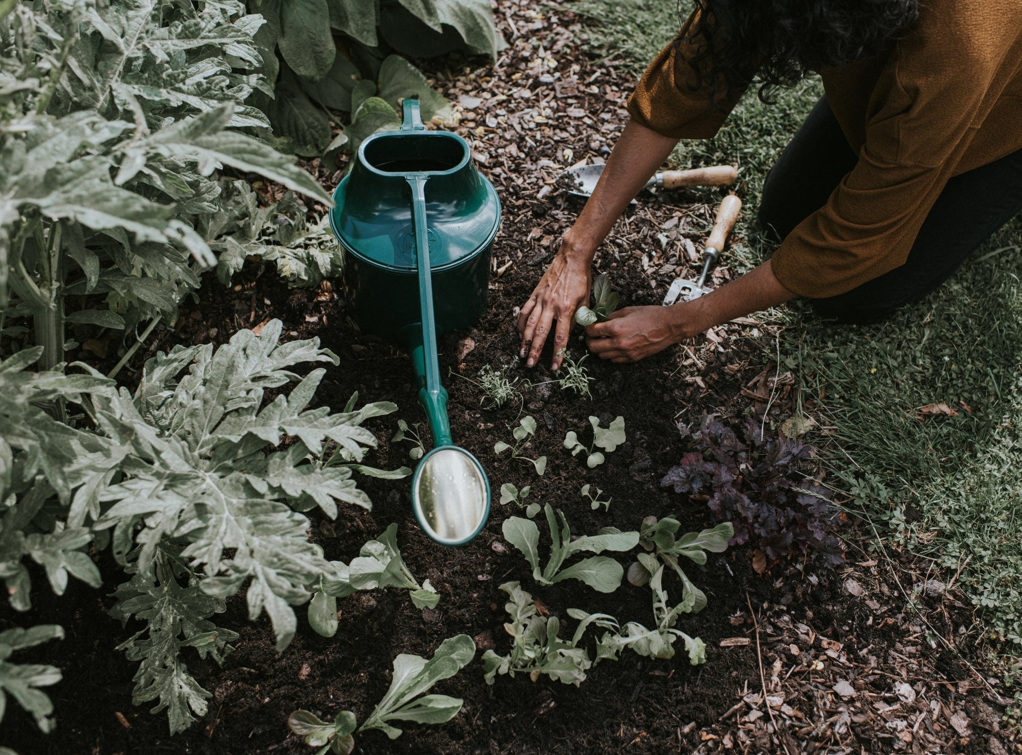 The Cradley Cascader - Potting Kit - One & a Half Gallon