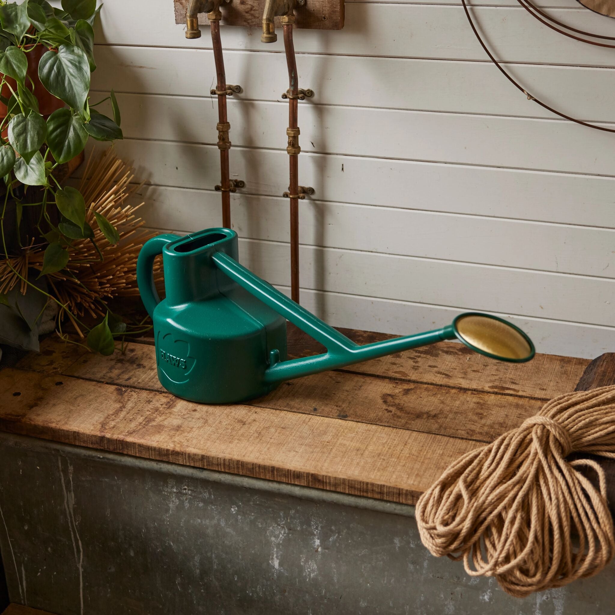 The Selly Soak Green - 1 Gallon
