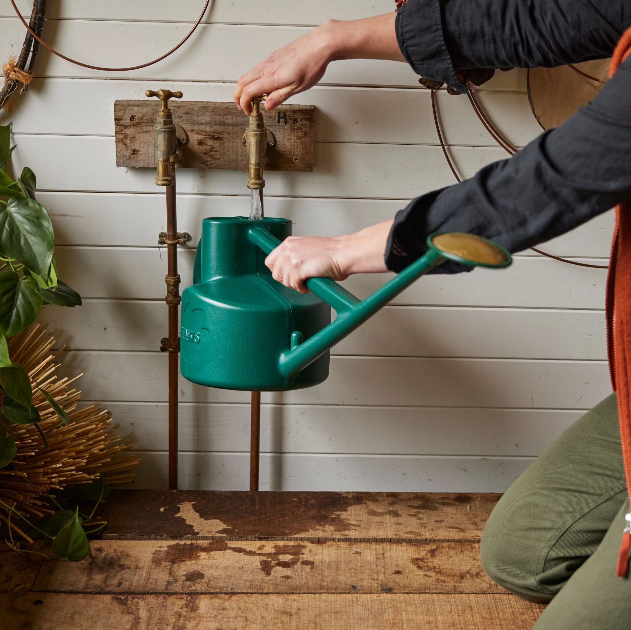 The Selly Soak Green - 1 Gallon