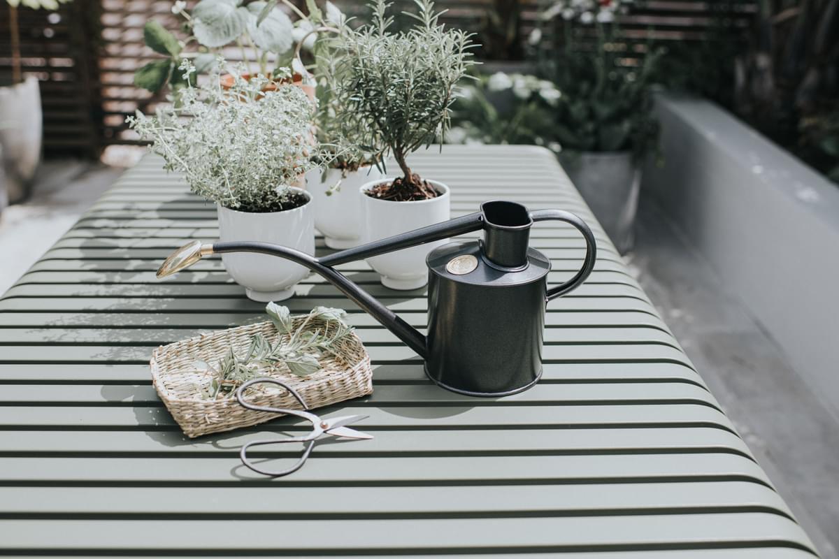 The Rowley Ripple - Houseplant Set - Graphite & Brass - Two Pint