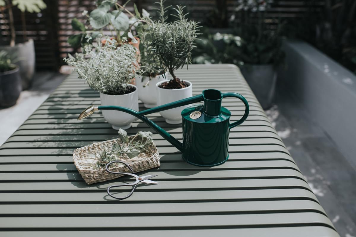 The Rowley Ripple - Plants and Flowers Set - Green & Graphite - Two Pint