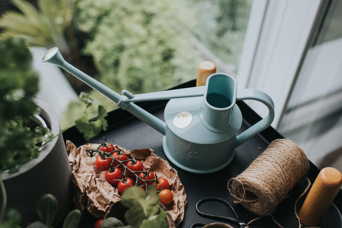 The Langley Sprinkler - Houseplant Set - Duck Egg Blue & Brass