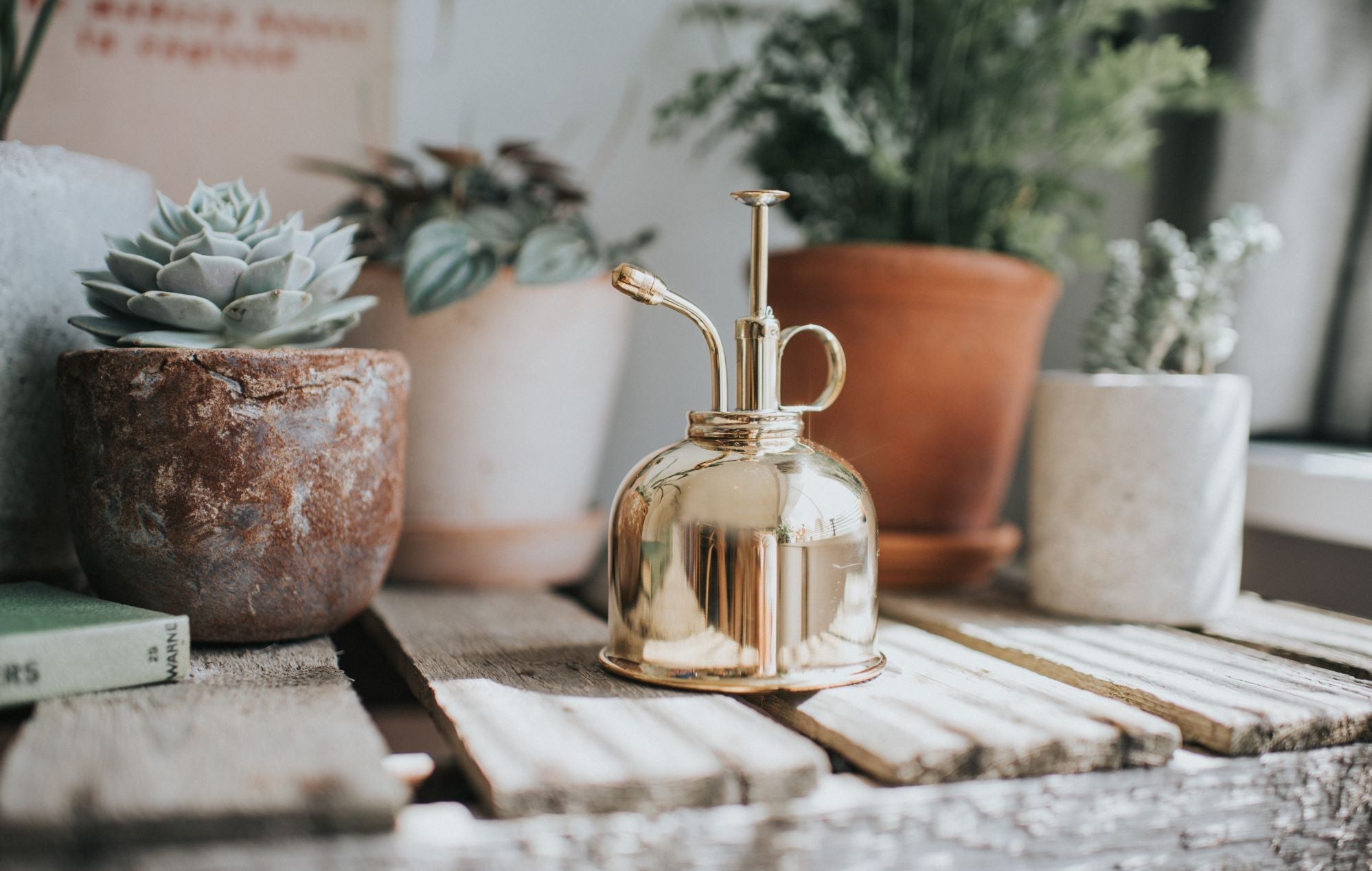 The Langley Sprinkler - Houseplant Set - Green & Brass