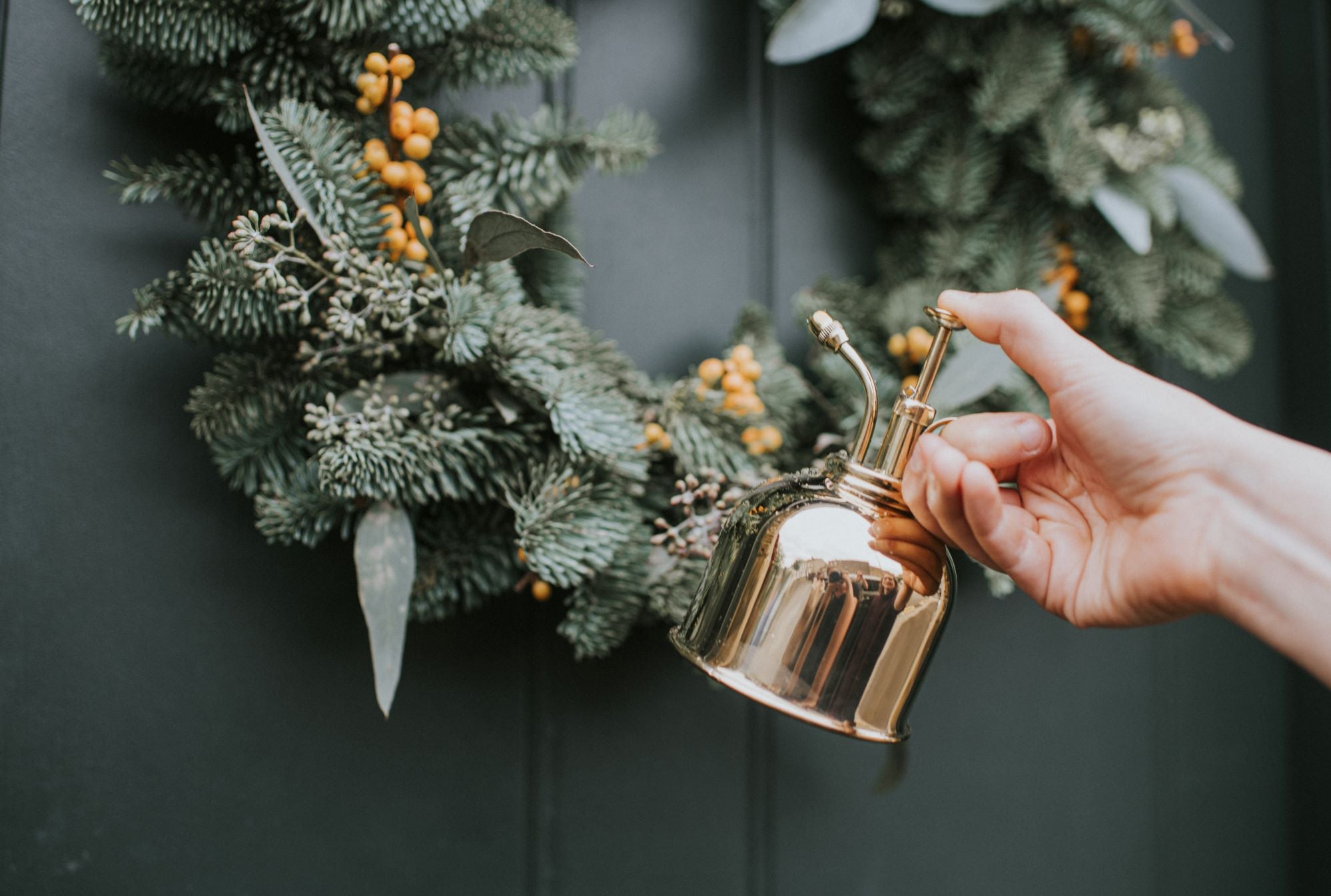 The Langley Sprinkler - Houseplant Set - Sage & Brass