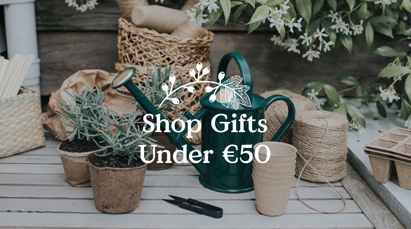 Gifts under €50